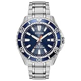 Citizen Eco-Drive Promaster Diver Quartz Mens Watch, Stainless Steel, Two-Tone (Model: BN0191-55L)